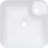 Baliv Aufsatzwaschbecken WBA-7010 43 Cm X 43 Cm -Badezimmer Zu Hause 4007873411533 S02 231018